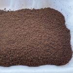 Ethiopian Sidamo Coffee - Image 7